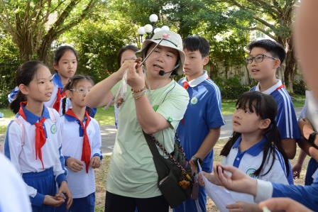 学生化身“自然侦探”，探寻“植物妈妈的法宝”——深圳市景贝小学开展“东湖探秘”植物科普每周半天实践活动