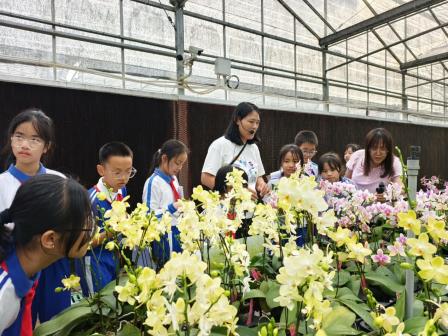 “每周半天”课堂——探秘兰科植物世界：走进深圳市兰科植物保护研究中心