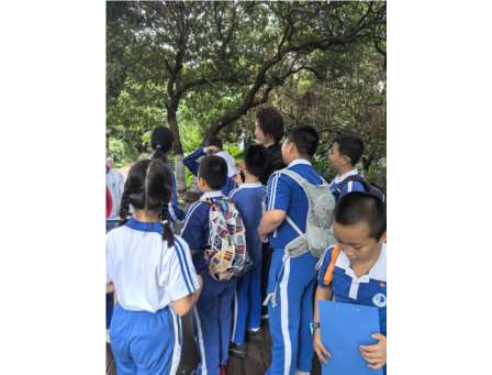 深圳市翠竹教育集团滨河小学开展“诗意走读”活动