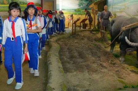 自然为课堂，实践育成长 ——翠北实验小学2025春季4-6年级社会实践活动