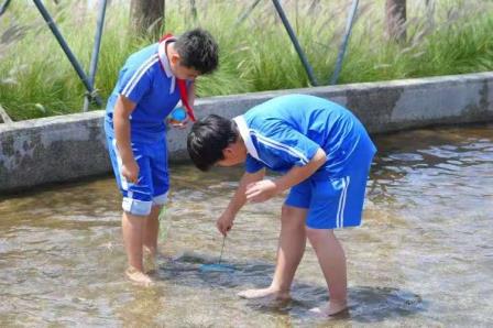 自然为课堂，实践育成长 ——翠北实验小学2025春季4-6年级社会实践活动