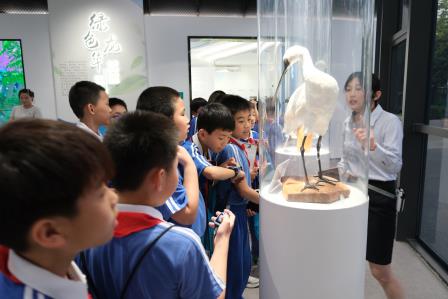 津津有味生态游  罗湖美育绿韵留——向西小学“每周半天计划”开启沉浸式生态教育实践