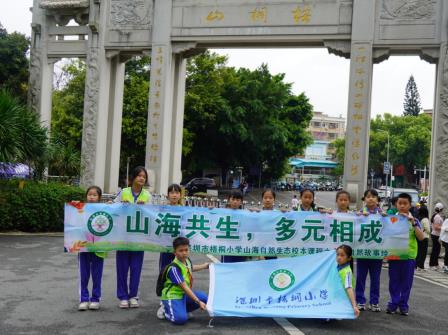 探自然之美，收成长之实——深圳市梧桐小学开展“每周半天”山海特色研学活动