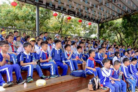 趣味研学，山海育人 ——深圳市梧桐小学开展春季社会实践研学活动