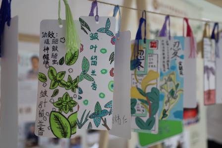 春日书香满罗湖—罗湖实验学校精彩亮相区春日阅读市集