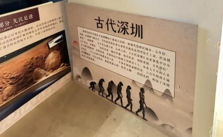 深圳博物馆“展览进校园”行动开启，课本里的文物“活”了！