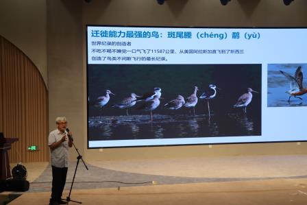 “以读为舟，向美而行”罗湖外语小学举办第五届中英文阅读文化节