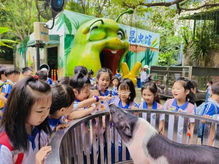 春日研学促成长，多元实践润童心——深圳市水库小学开展社会实践活动