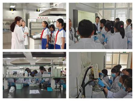知乎墙上碰撞思维，兰科中心实践解密 ——深圳市梧桐小学携手深圳市兰科植物保护研究中心开展实践探究活动暨“每周半天计划”课程