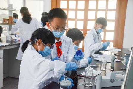 知乎墙上碰撞思维，兰科中心实践解密 ——深圳市梧桐小学携手深圳市兰科植物保护研究中心开展实践探究活动暨“每周半天计划”课程
