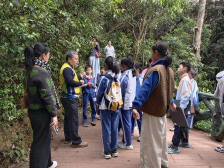 行走的思政课｜第22期：梧桐山自然导赏之旅 ——翠北实验小学师生探秘毛棉杜鹃，共上一堂“生态思政课”