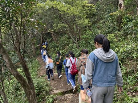 行走的思政课｜第22期：梧桐山自然导赏之旅 ——翠北实验小学师生探秘毛棉杜鹃，共上一堂“生态思政课”