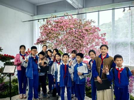 行走的思政课｜第22期：梧桐山自然导赏之旅 ——翠北实验小学师生探秘毛棉杜鹃，共上一堂“生态思政课”