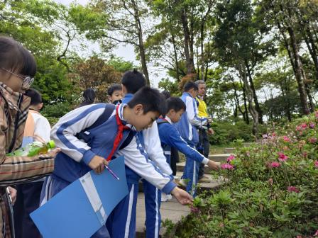 行走的思政课｜第22期：梧桐山自然导赏之旅 ——翠北实验小学师生探秘毛棉杜鹃，共上一堂“生态思政课”