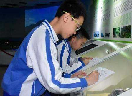 深圳市怡景小学4-6年级开展“每周半天计划”实践课程