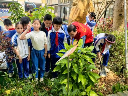 校社共植 桂香润心 | 罗湖小学联合罗湖桥社区开展植树活动  