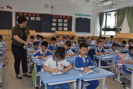 深圳市东晓小学举办2024—2025学年度第二学期学生硬笔书法比赛