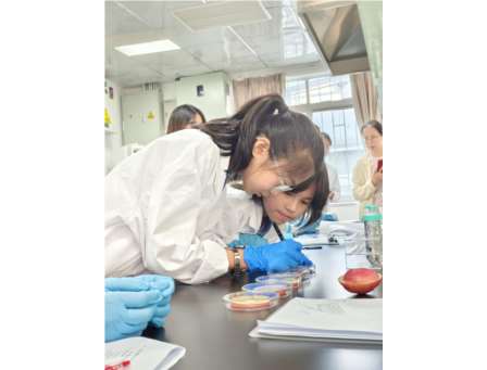 从课堂到实验室：兰科植物提取物助力青少年探索抗氧化奥秘 ——深圳市梧桐小学携手深圳市兰科植物保护研究中心开展“每周半天计划”课程