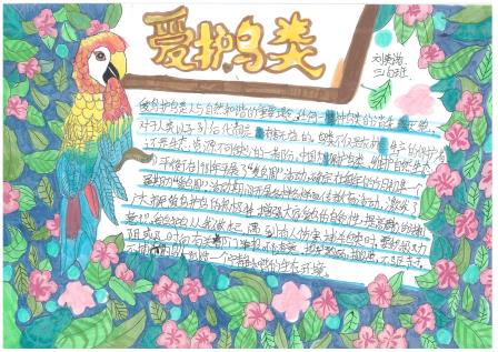 “2025美丽罗湖我先行”生态文明课走进布心小学