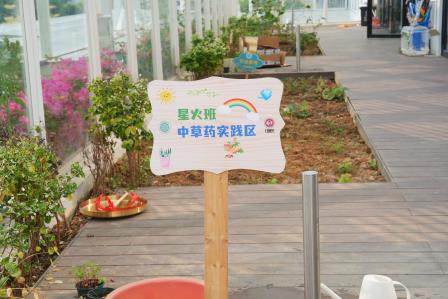 童识本草，药启未来 —— 深圳市罗湖未来学校中医药文化系列活动纪实