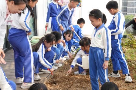 童识本草，药启未来 —— 深圳市罗湖未来学校中医药文化系列活动纪实