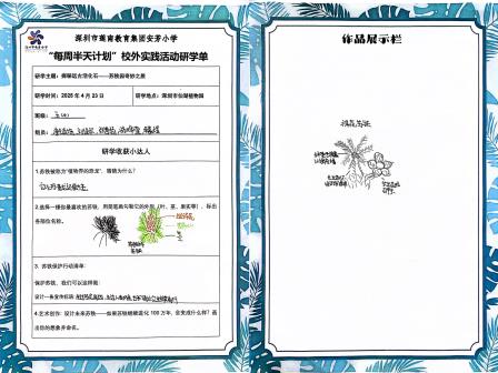 深圳市莲南教育集团安芳小学“每周半天计划”——从汉字王国到植物活化石的奇妙探索