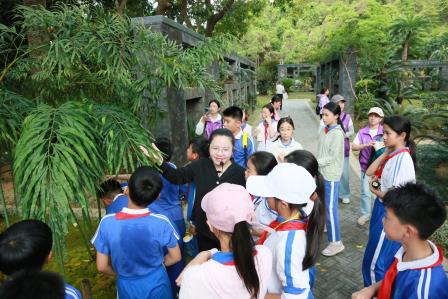 深圳市莲南教育集团安芳小学“每周半天计划”——从汉字王国到植物活化石的奇妙探索