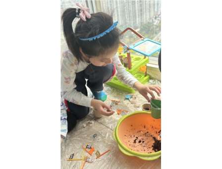 循道而昌育新苗，劳动实践绽华彩 ——深圳市东昌小学劳动教育课程纪实