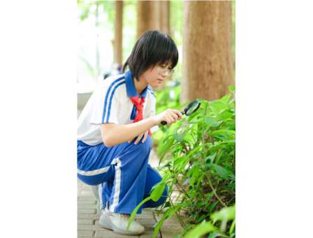 红岭小学·匠心课程 | 探秘洪湖落羽杉 跨学科研学赋能湿地生态教育​