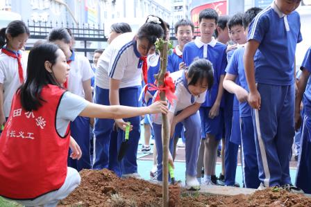 紫薇寄深情桃李园中铭母校  赤子酬春晖杏坛树下续华章——水田小学六年级毕业季感恩教育活动
