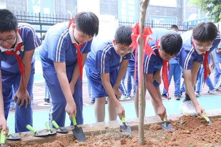 紫薇寄深情桃李园中铭母校  赤子酬春晖杏坛树下续华章——水田小学六年级毕业季感恩教育活动
