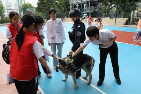 深圳市罗湖区滨河实验中学“每周半天计划”系列④│法润少年心，护航成长路