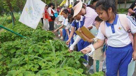 守护碧水清流，贯通小幼成长 ——深圳市梧桐小学携手清源幼儿园共同开展“每周半天计划”活动暨山海自然生态小幼衔接课程