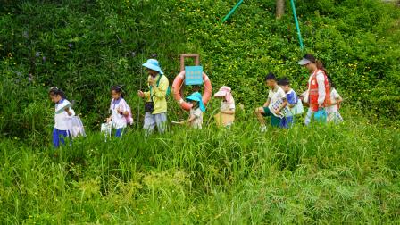 守护碧水清流，贯通小幼成长 ——深圳市梧桐小学携手清源幼儿园共同开展“每周半天计划”活动暨山海自然生态小幼衔接课程