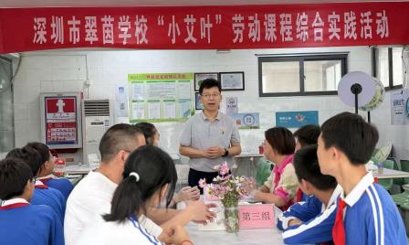 “团”聚端午，“艾”满校园 ——深圳市翠茵学校“小艾叶”劳动课程之迎端午综合实践活动
