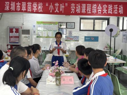 “团”聚端午，“艾”满校园 ——深圳市翠茵学校“小艾叶”劳动课程之迎端午综合实践活动