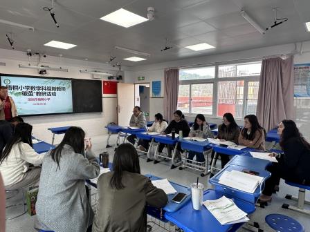 “青蓝共进+团队赋能”助力新教师专业成长 ——梧桐小学新教师培养体系的探索与实践