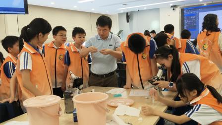 探秘微观奇境，播种科学梦想——深圳市翠竹外国语实验学校推进 “每周半天计划” 实践活动