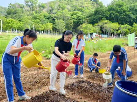 翠北实验小学劳动教育周火热进行中，家校共育助力成长新篇章