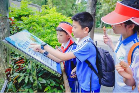 草埔小学开展“爱护野生动物，共创和谐家园”校外实践活动