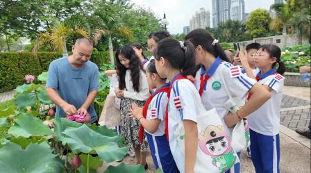 “荷”间探趣，园校共谱实践新章——洪湖小学少先队员代表赴洪湖公园开展“荷韵”课程调研走访活动  