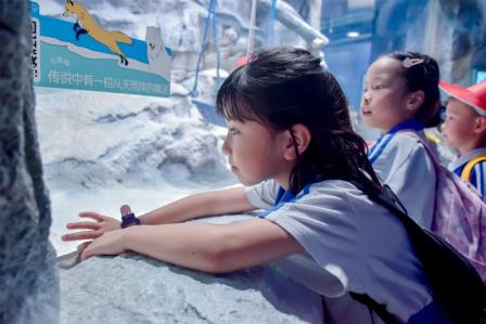草埔小学开展“探索蓝色奥秘，共筑海洋梦”校外实践活动