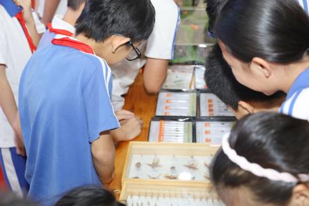 劳模工匠进校园共探“昆虫世界的神奇与科学” —— 深圳市大望学校举办特色科普进校活动