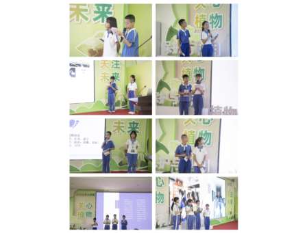每周半天探秘兰科植物 馆校合作赋能科学实践 ——深圳市梧桐小学与深圳市兰科植物保护研究中心项目式学习圆满落幕