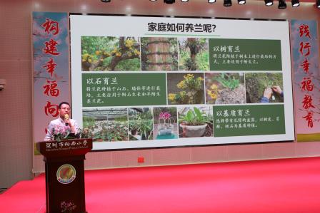 探秘兰科智慧，涵养美育情怀——深圳市向西小学创新开展“科普+美育”课堂实践