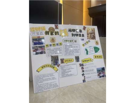 “探索中成长，实践中收获” ——罗湖区侨香实验学校开展丰富多彩的项目式学习活动
