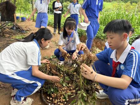 雨耕田间悟农事 研学实践育新知 ——深圳市人民小学“春耕计划”活动