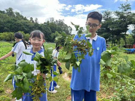 雨耕田间悟农事 研学实践育新知 ——深圳市人民小学“春耕计划”活动