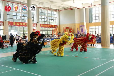 龙狮舞动，活力飞扬——人民小学在 2025 年广东省小学生舞龙舞狮锦标赛获佳绩