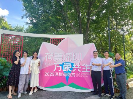 荷风送爽，影韵流芳--水田小学工会举行摄影采风活动